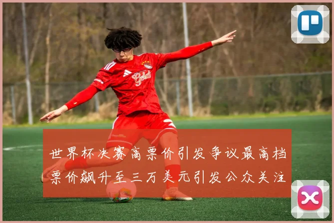 世界杯决赛高票价引发争议最高档票价飙升至三万美元引发公众关注