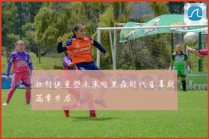 独行侠重塑未来哈里森时代落幕新篇章开启