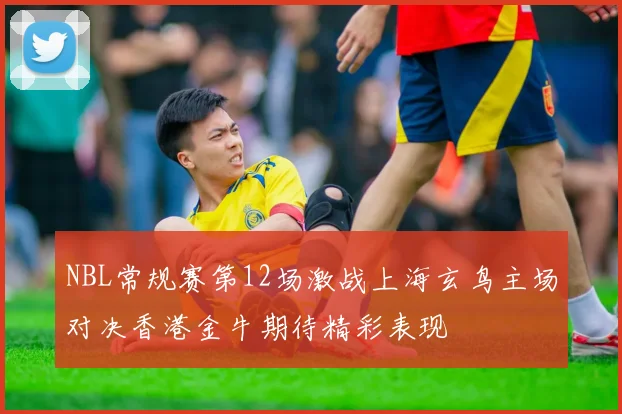 NBL常规赛第12场激战上海玄鸟主场对决香港金牛期待精彩表现